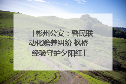 彬州公安：警民联动化赡养纠纷 枫桥经验守护夕阳红